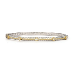 JUDE FRANCES MIXED METAL STONES ROPE DIAMOND BANGLE