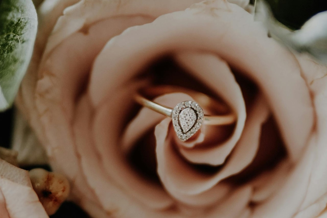 A close up of a yellow gold pear shaped halo engagement ring on top of the pink rose A close up of a yellow gold pear shaped halo engagement ring on top of the pink rose