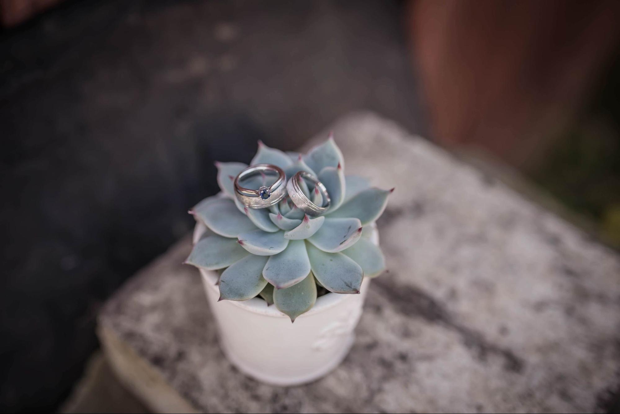 A sapphire solitaire ring sits with matching white gold wedding bands on a succulent.